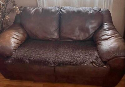 IMG_20240410_124807_313