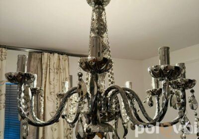 442000577_7981304678548597_1742090748370313123_n-1