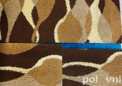 IMG_20240519_173304_449