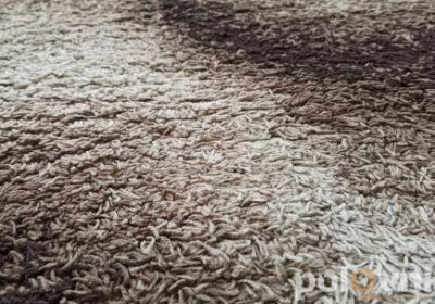 IMG_20240609_185249_210