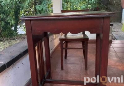 IMG_20240730_124529_533-1