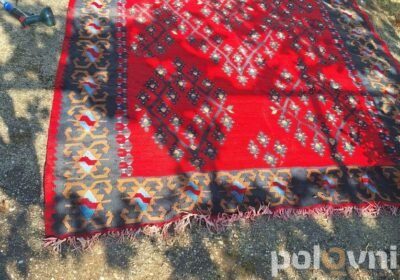 IMG_20240809_164403_828