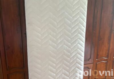 494362049_579044305237844_228936845456408034_n