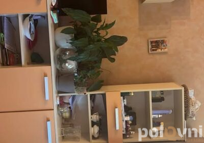 491655291_1794669851114087_1326677343747232747_n_