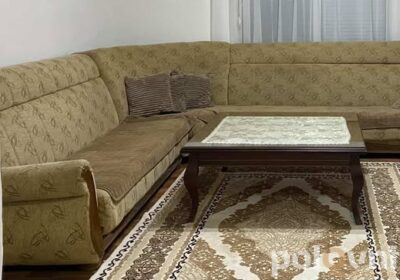 517407237_1485738949272576_5715096431506711973_n