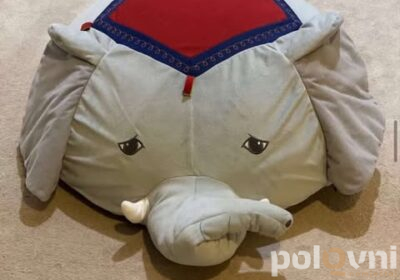 526200630_23965074259844240_1586410870779121331_n